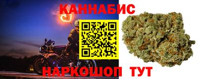 трава Лесосибирск