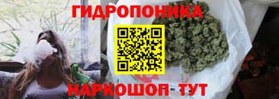 трава Лесосибирск