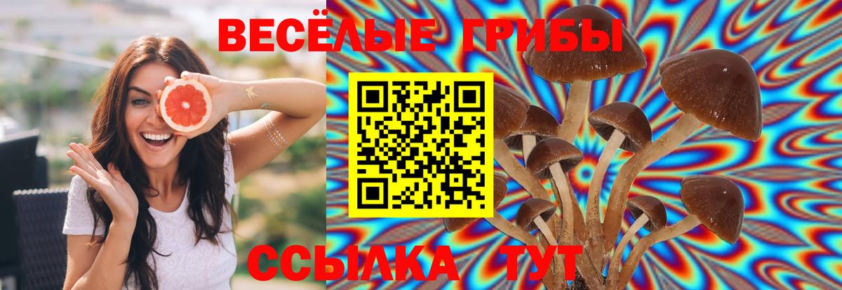 Псилоцибиновые грибы MAGIC MUSHROOMS Ангарск