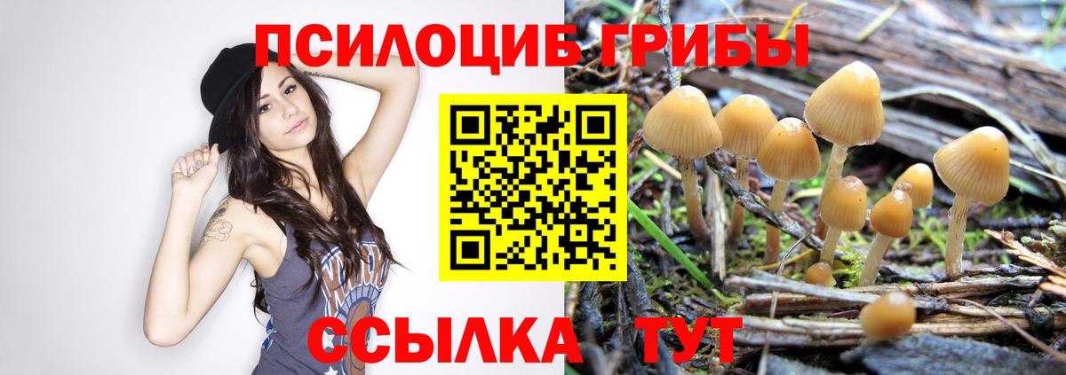 Ангарск  Псилоцибиновые грибы ЛСД  Вход с VPN 