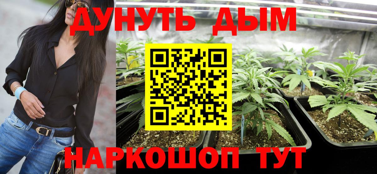 Канабис OG Kush  Вход с VPN  Бошки Шишки план  Бошки Шишки тримм  Бошки марихуана OG Kush  Ангарск 